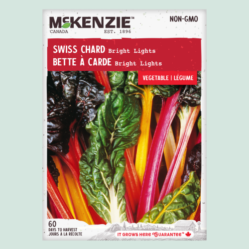 Bette à carde 'Brigh Light' - Semences