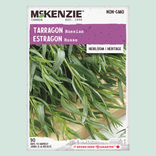 Estragon Russe - Semences