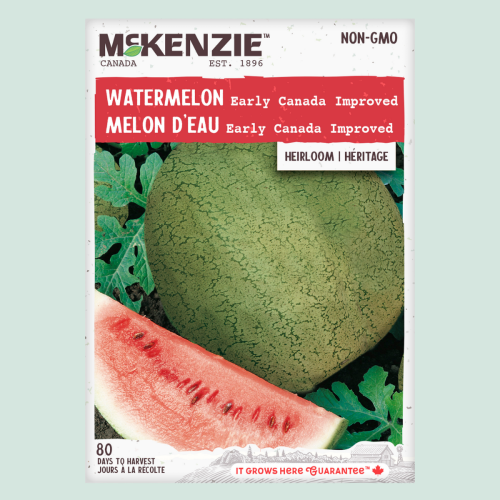 Melon d'eau 'Early Canada Improved' - Semences