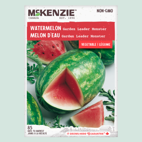 Melon d'eau 'Garden Leader Monster' - Semences