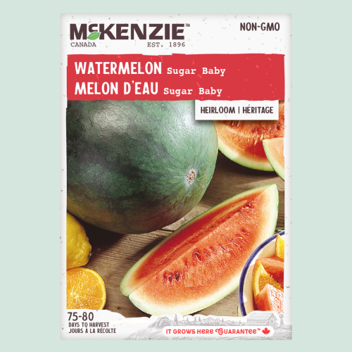 Melon d'eau 'Sugar Baby' - Semences