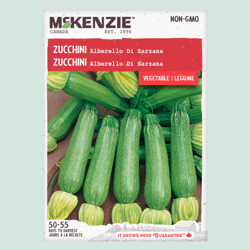 Zucchini 'Alberello De Sarzana ' - Semences