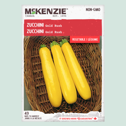 Zucchini 'Gold Rush' - Semences