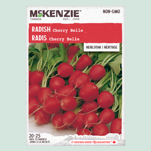 Radis 'Cherry Bell' - Semences