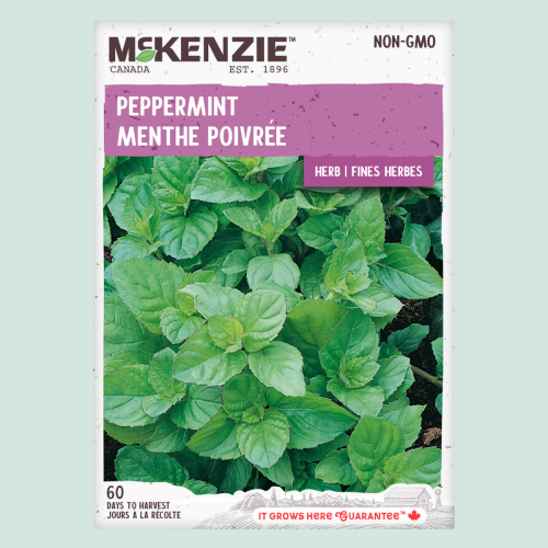 Menthe Poivrée- Semences
