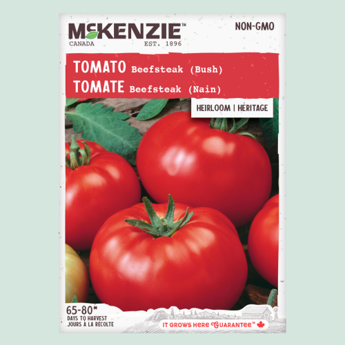 Tomate 'Beefsteak' - Semences