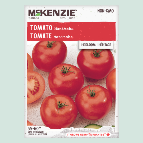Tomate 'Manitoba' - Semences