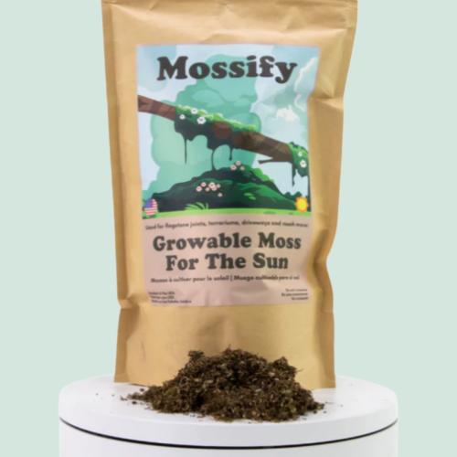 Mousse à cultiver pour soleil Mossify 