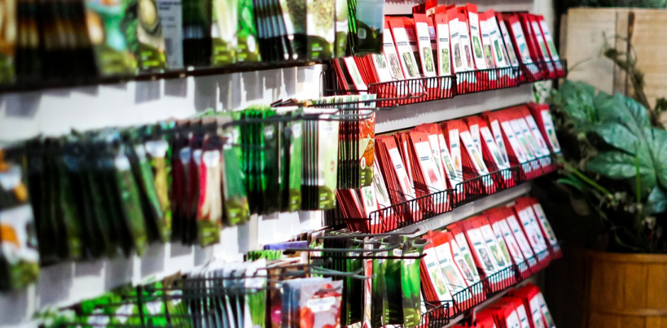 Faucher Plantes & Pavés photo 4