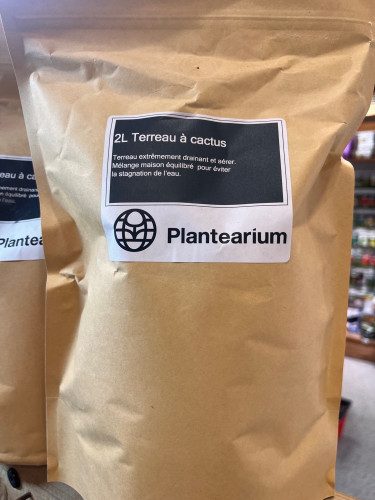 Terreau professionnel pour cactus