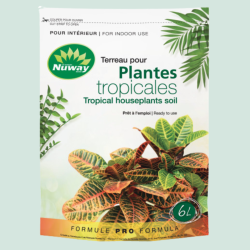 Terreau pour plantes tropicales - Formule Pro - 6L