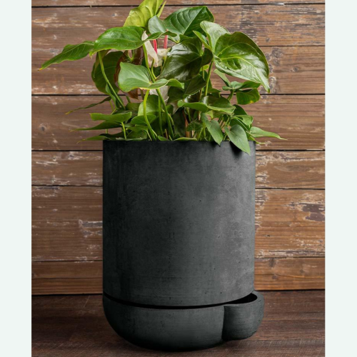 Pot simple - 3 gallons - 15,5"