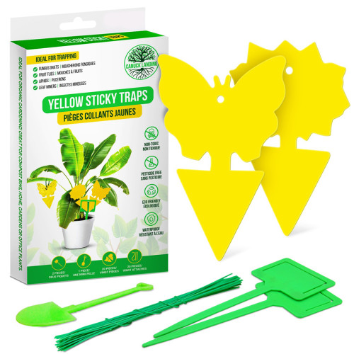 Pièges collants jaunes - 20 unités par paquet