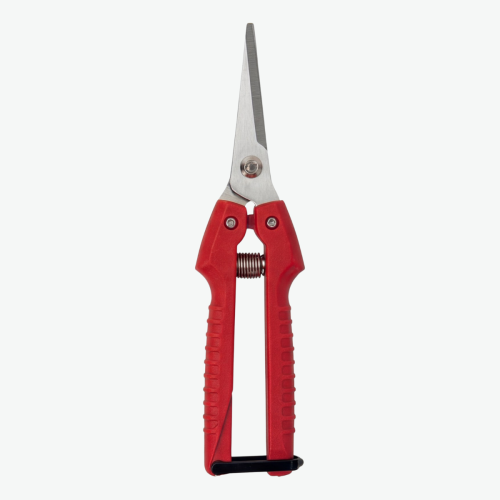 Ciseaux de jardin Agricut S-5