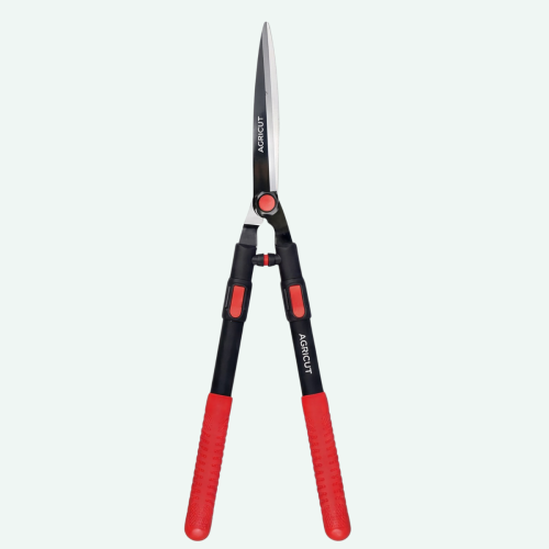 Taille Haie Agricut H-88