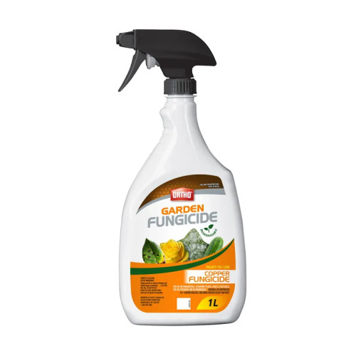 Fongicide pour le jardin - PAE - 1L