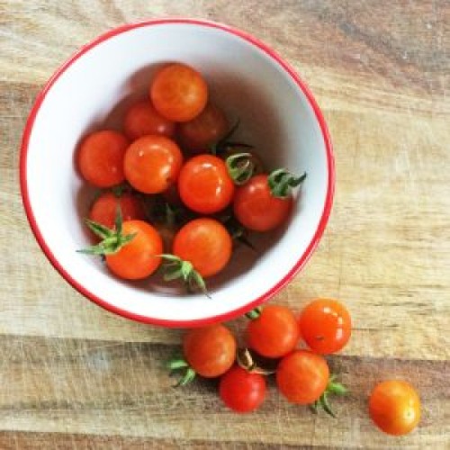 Tomate cerise  'Petit moineau' - BIO - Semences