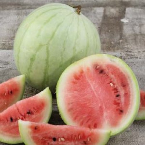 Melon d'eau 'King and Queen winter'  - BIO-  Semences