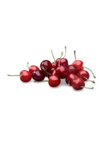 Cerisier arbustif 'Crimson Passion' BIO - 2g